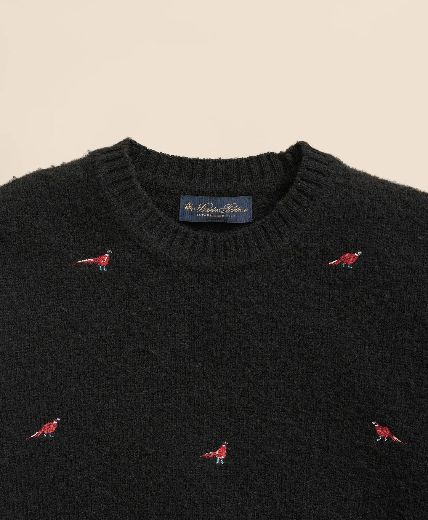 Brooks Brothers Friday Oxford Shirt