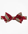 Burgundy-Gold