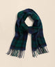 Navy-Green