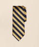 Navy-Gold