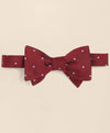 Burgundy-Light Blue