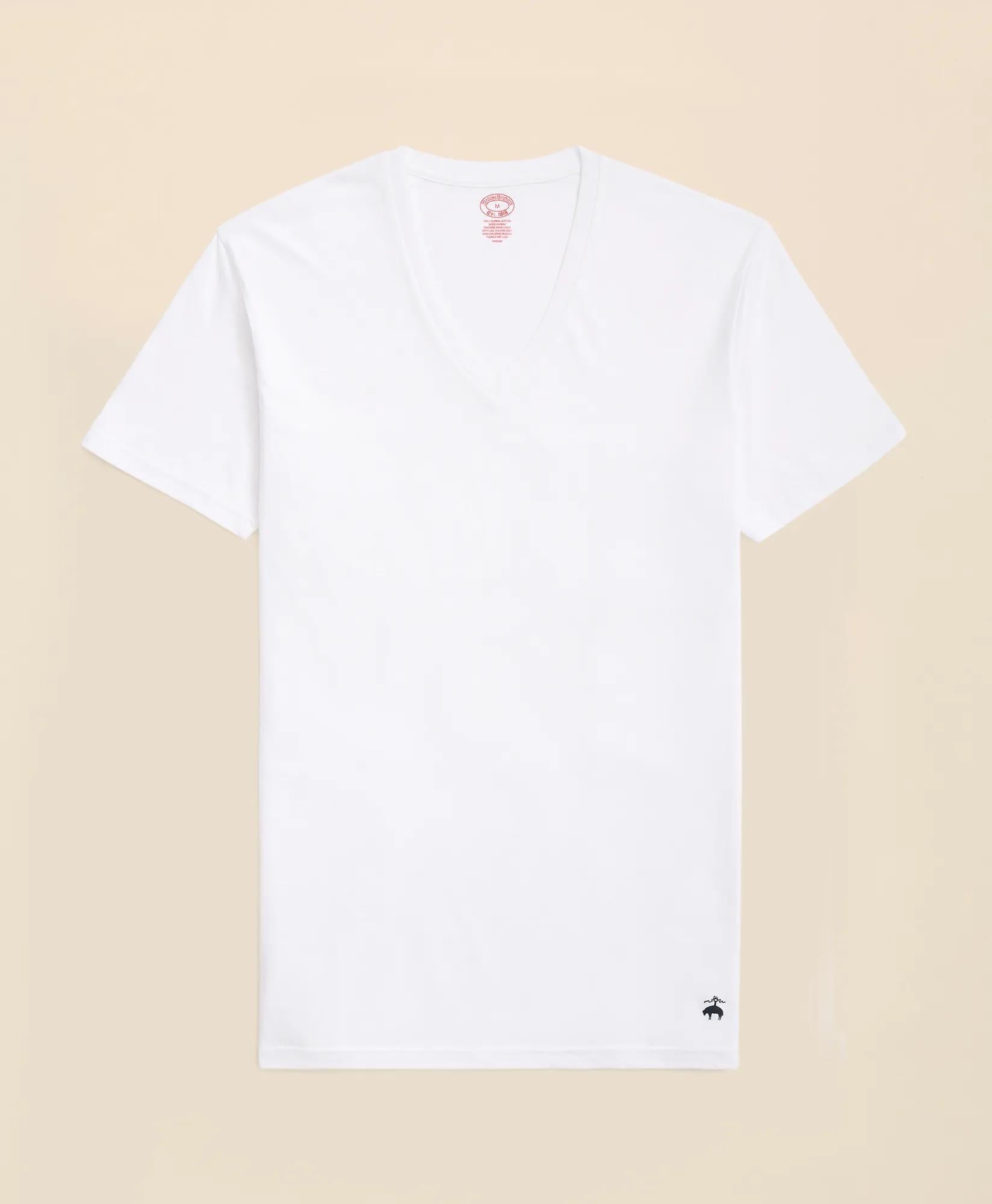 Brooks Brothers Friday Oxford Shirt